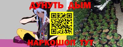 шишки Ликино-Дулёво