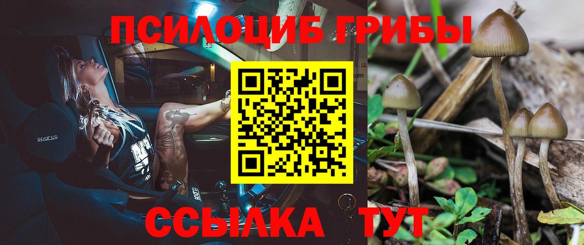 Галлюциногенные грибы MAGIC MUSHROOMS  Галлюциногенные грибы мухоморы  Вход с VPN  Азов 